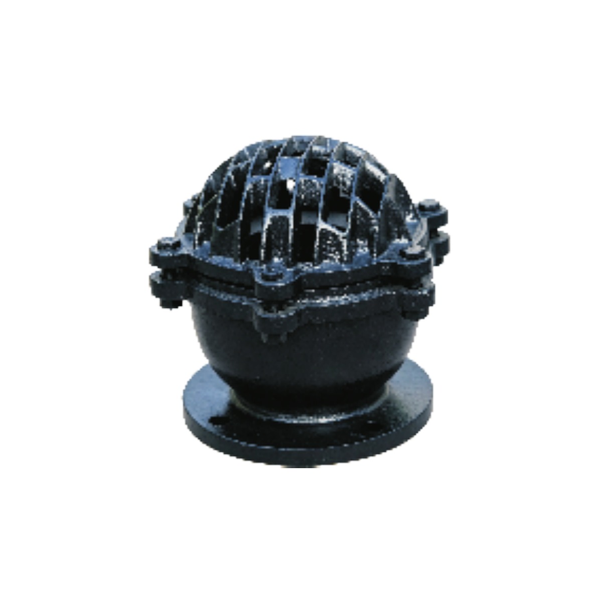 Foot Valve